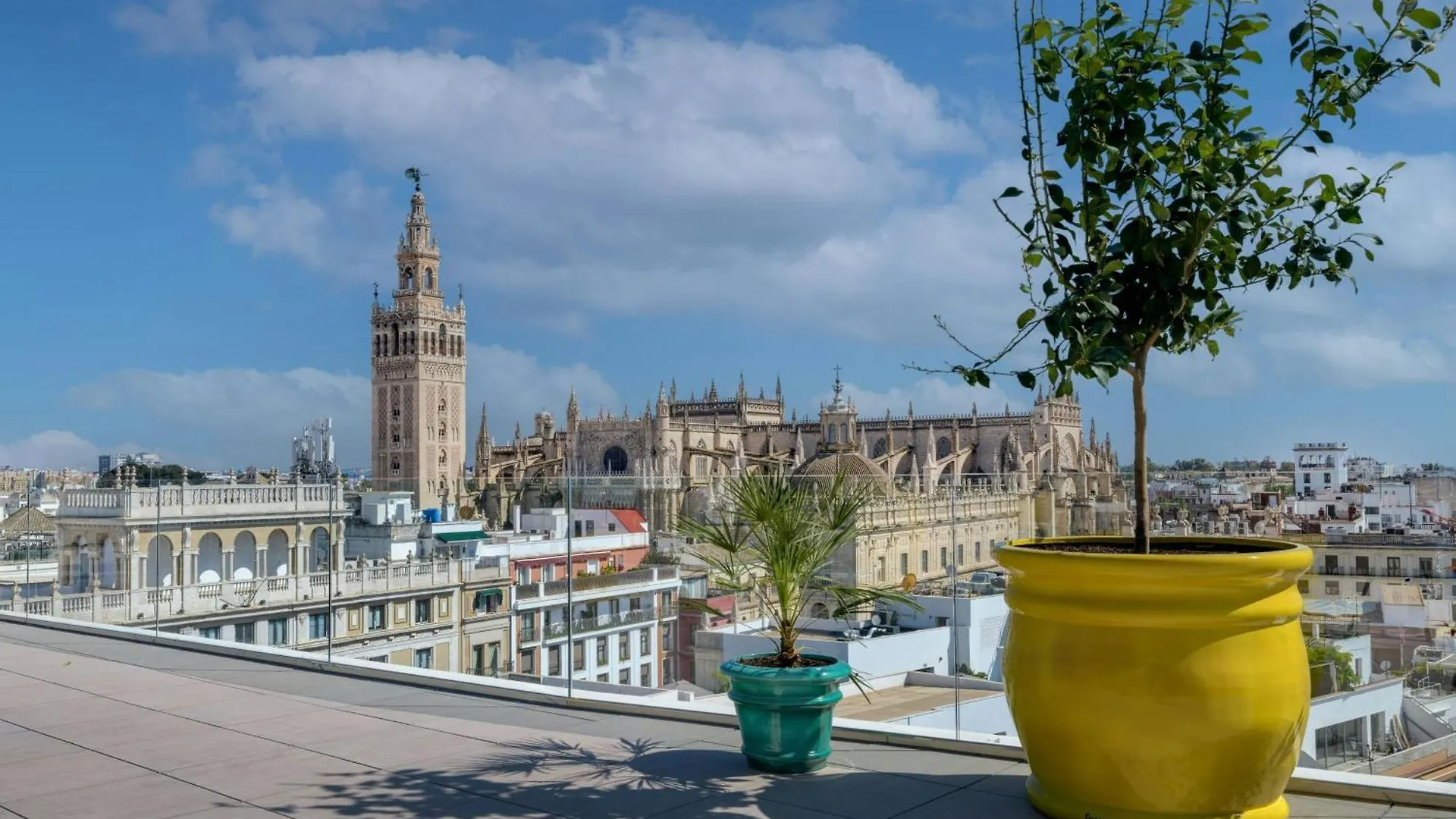 Querencia De Sevilla, Autograph Collection contacts